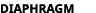 diaphragm