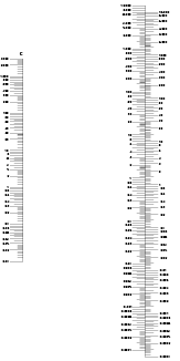 Rectangle