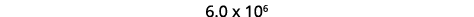 6.0 x 106