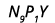 N9P1Y
