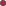 Oval
