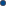 Oval