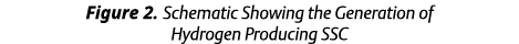 Figure 2. Schematic Showing the Generation of Hydrogen Producing SSC 